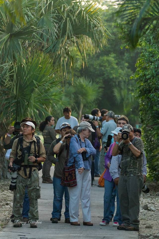Durante los recorridos de observaci n se registraron en la comunidad de San Gervasio 40 especies  en el caso de Punta Sur  29 especies y el Cozumel Country Club tuvo un registro de 58 especiesjpg