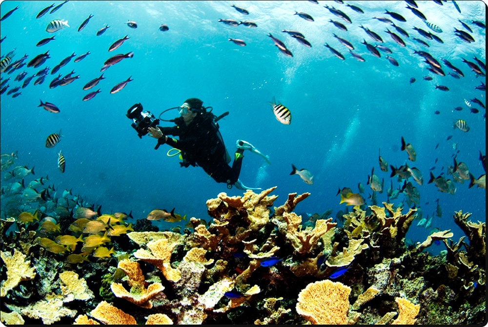 Arrecifes de Cozumel Foto Archivo CONANP.jpg