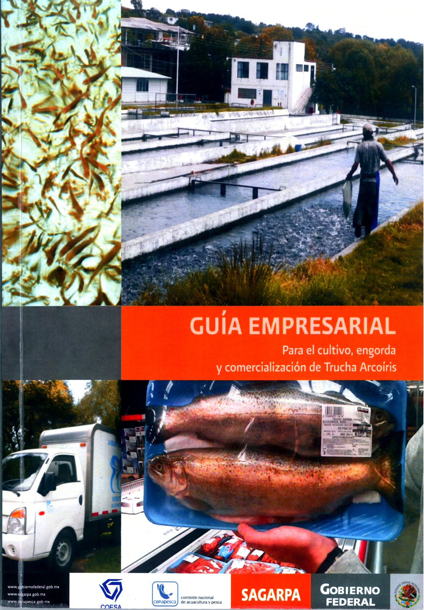 Guía Empresarial para el Cultivo, Engorda y Comercialización de Trucha Arcoíris