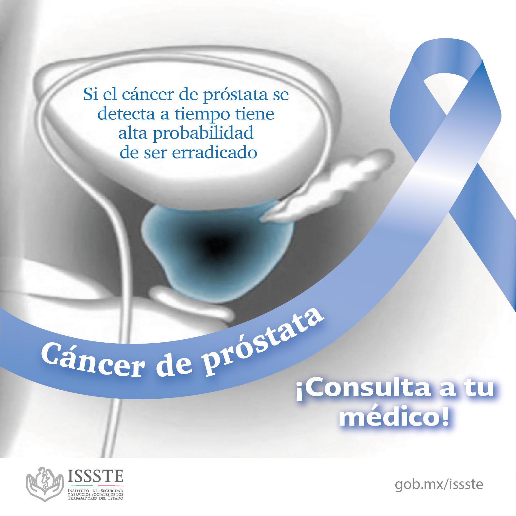 /cms/uploads/image/file/158022/cancer-prostata-05.png