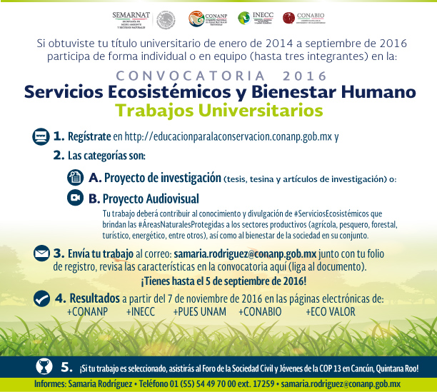 /cms/uploads/image/file/175055/Infografia-Trabajos-Universitarios.jpg