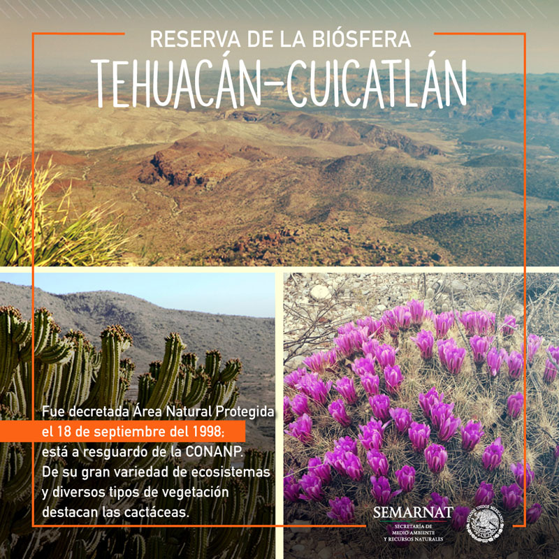 /cms/uploads/image/file/197222/18-09-Tehuacan.jpg
