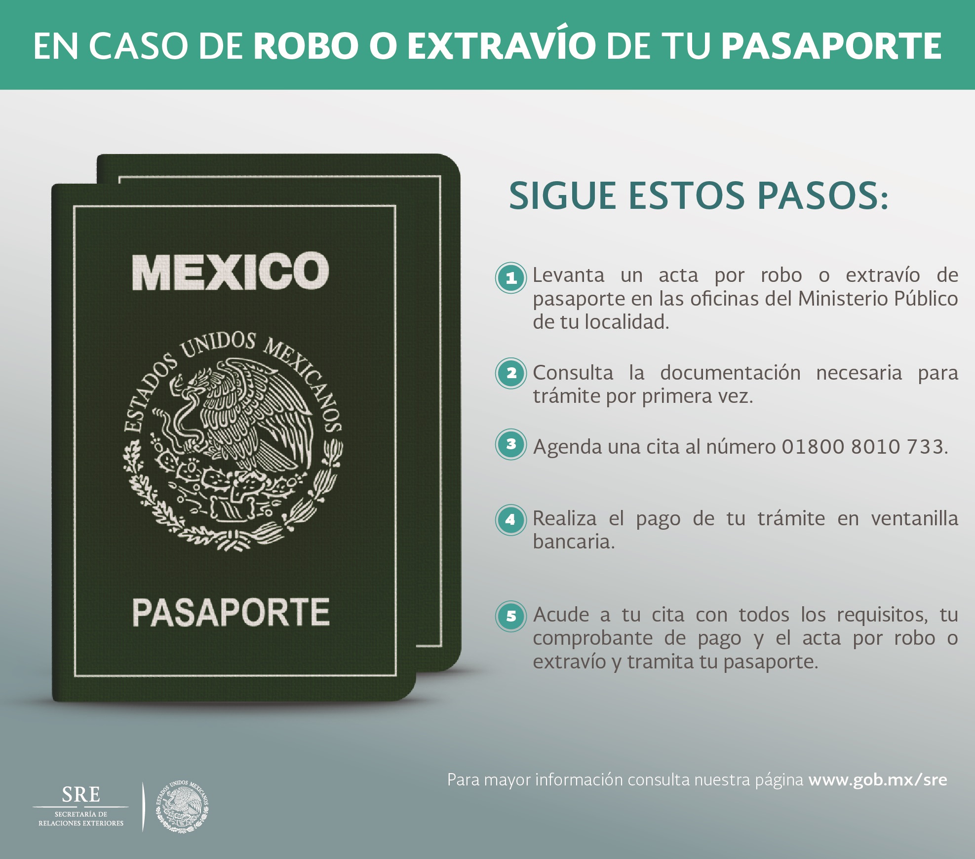 /cms/uploads/image/file/219160/pasaporte_3.jpg