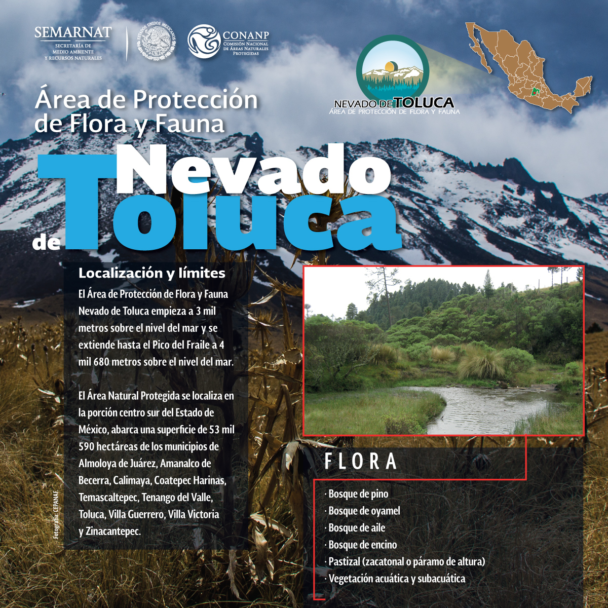 /cms/uploads/image/file/220734/infografia-NEVADO-DE-TOLUCA_flora-168x118.5-_50__.jpg