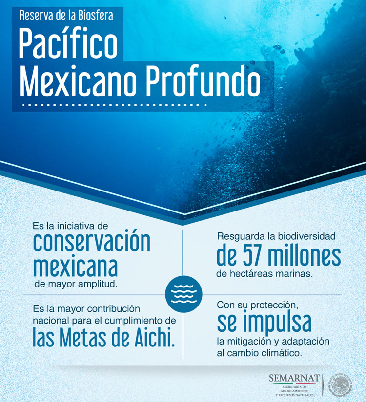 /cms/uploads/image/file/232246/RB_pacifico_mexicano.jpg