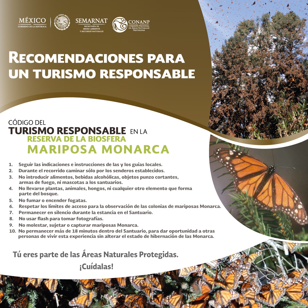 /cms/uploads/image/file/236954/recomendaciones_turismo_RB_Mariposa_Monarca_1200x1200_2016.jpg