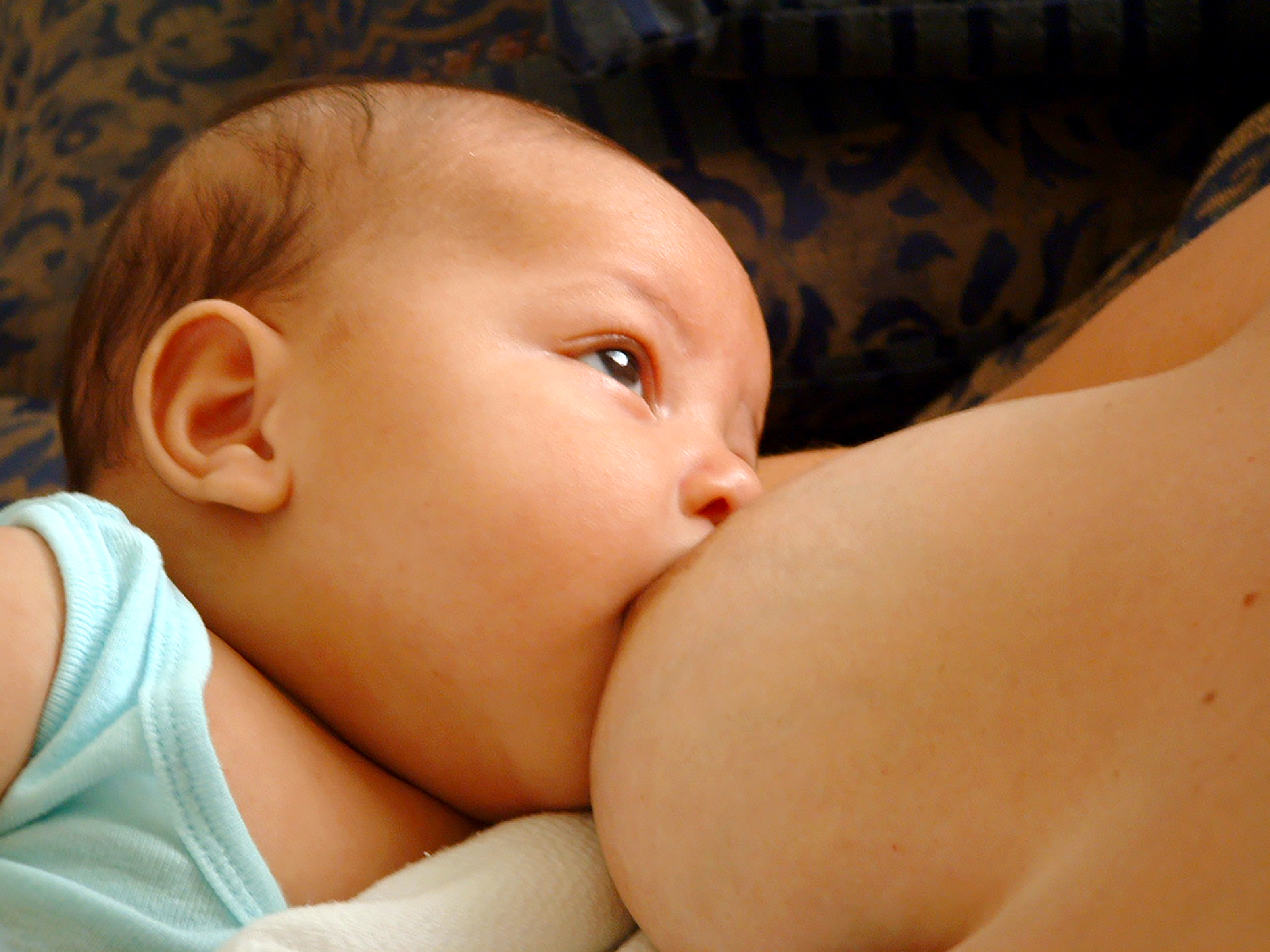 Saludsa - La importancia de la lactancia materna radica en