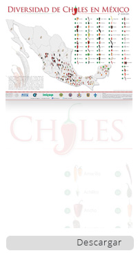 /cms/uploads/image/file/290844/Mapa-chile.jpg