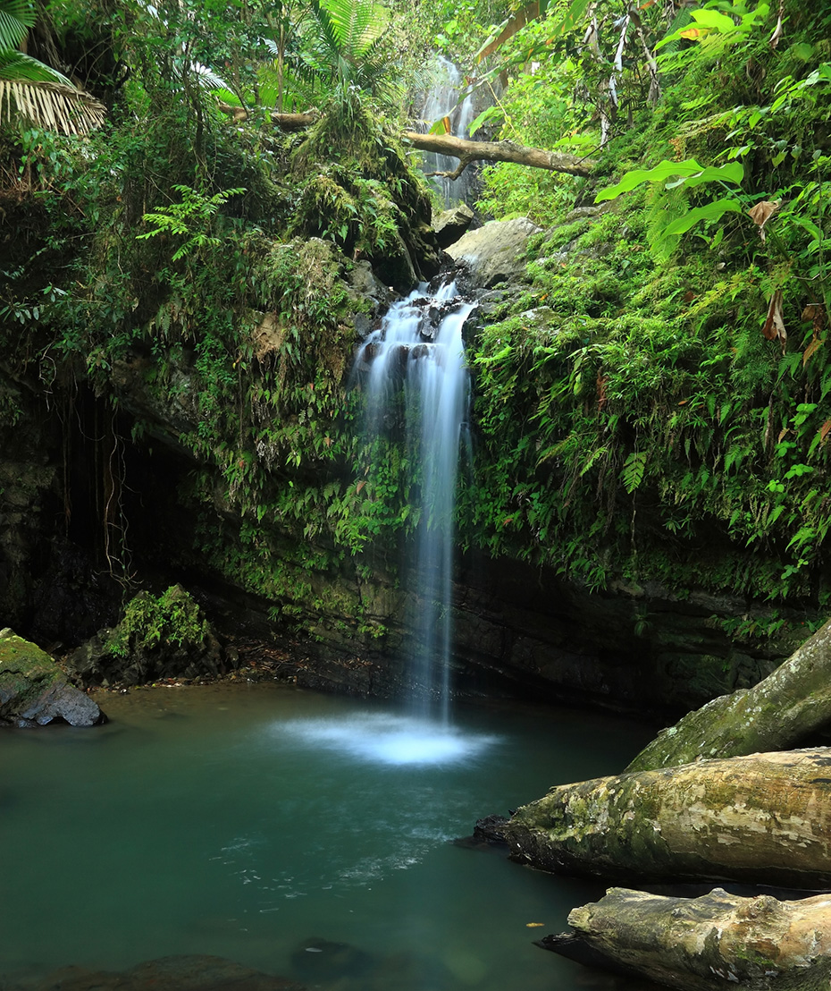 /cms/uploads/image/file/292527/falls-and-pool-on-cascada-juan-diego-in-the-el-yunque-rainforest-in-the-caribbean-national-forest-puerto-rico.jpg