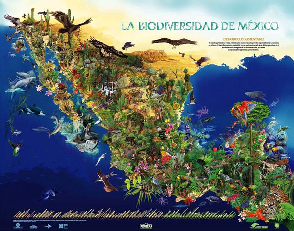 mapa biodiversidad de m xicopng