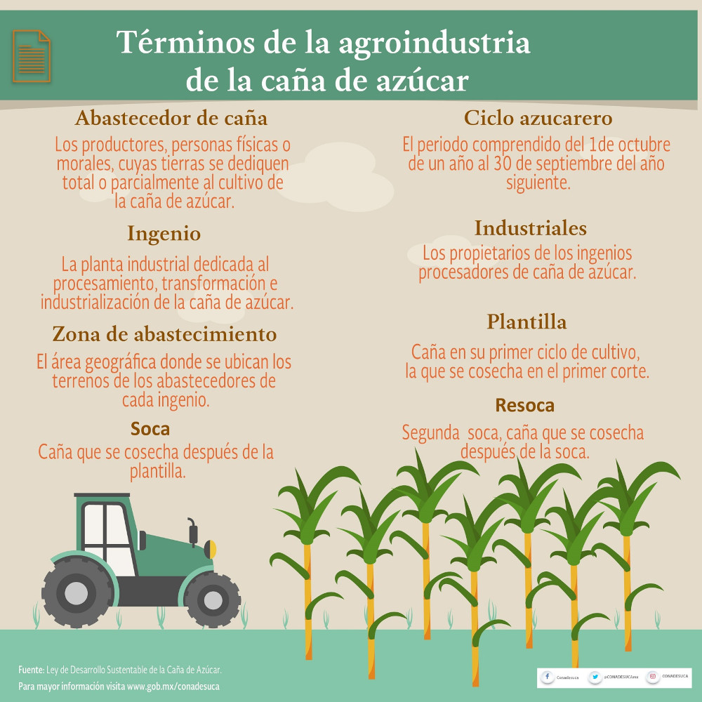 /cms/uploads/image/file/836091/3_terminos_agroindustria.jpg