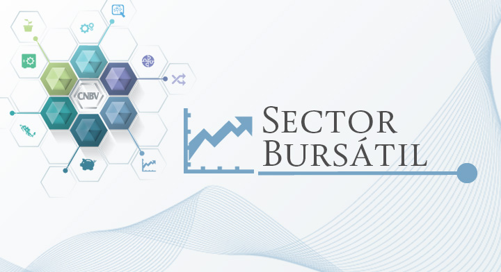 Información Estadística Sector Bursátil
