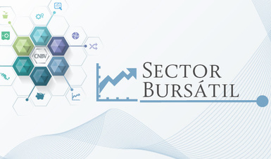 Información Estadística Sector Bursátil