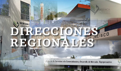 Direcciones Regionales