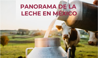 Panorama de la leche en México