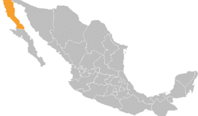 Baja California