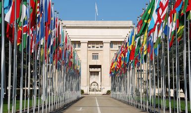 Procedimientos Especiales de las Naciones Unidas | Secretaría de Relaciones  Exteriores | Gobierno | gob.mx