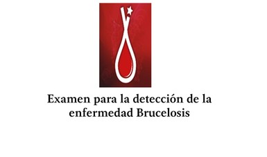 Examen para la detección de la Brucelosis