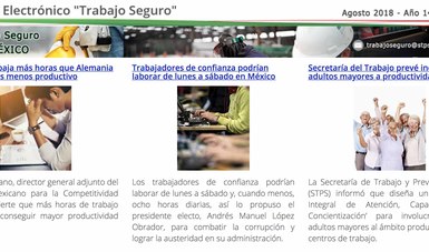 Boletín Electrónico "Trabajo Seguro" Imagen de la pantalla principal de la página de inicio de la liga.