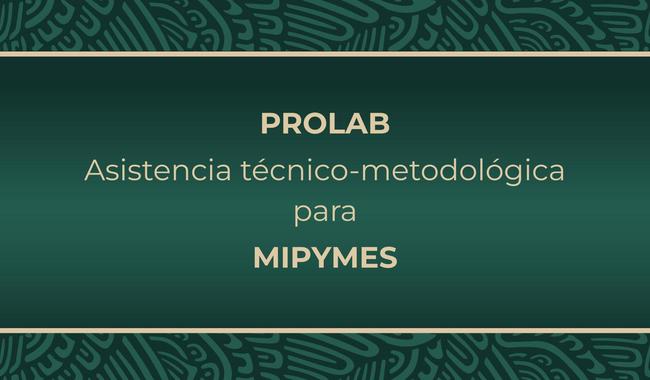 PROLAB Asistencia técnico-metodológica para MIPYMES