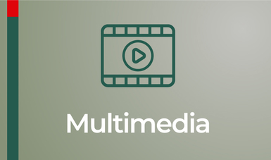  Multimedia