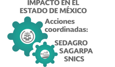 Impacto en el Estado de México