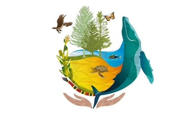 Logo COP13