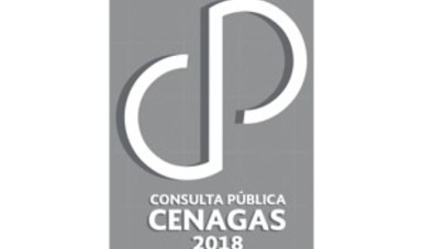 Consulta Pública 2018
