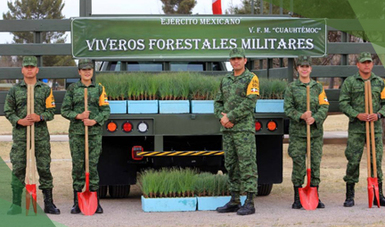Militares del Ejército Mexicano en viveros forestales.