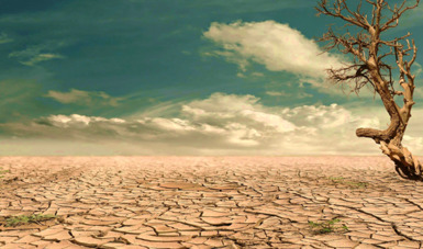 Imagen de un desierto con el suelo cuarteado. De lado derecho hay un árbol seco. 