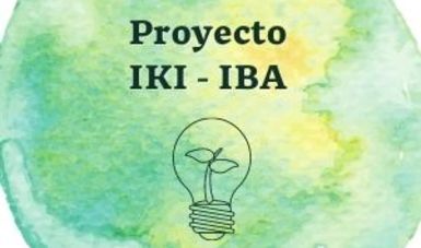 Proyecto IKI - IBA