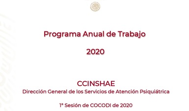 Programa Anual de Trabajo 2020.