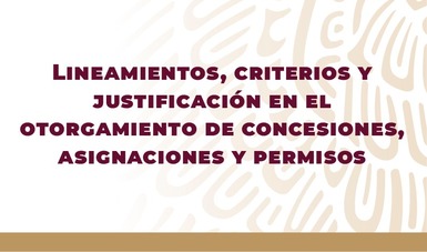 Lineamientos, criterios y justificación en el otorgamiento de concesiones, asignaciones y permisos.