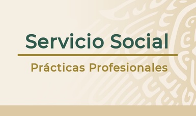 Banner que dice servicio social y prácticas profesionales