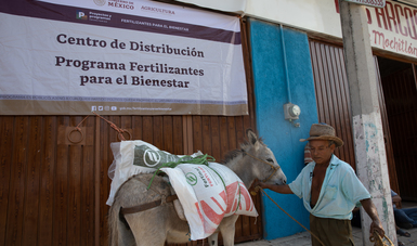 Productor de Guerrero, llevando fertilizante en burro.
