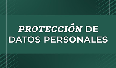 Protección de Datos Personales 