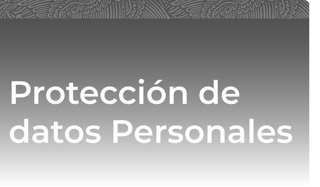 Protección de datos
personales
