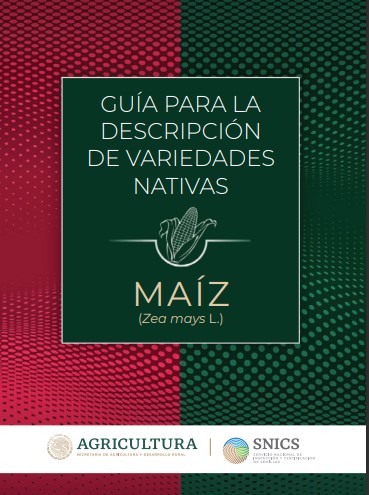 Guía para descripción de variedades de Maíz nativo