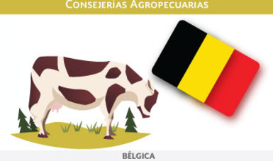 Bélgica | Consejerías Agropecuarias