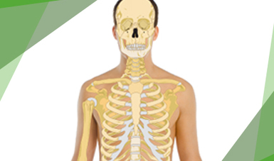 Categorie:Boli ale sistemului osteo-articular - Wikipedia