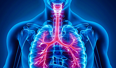 Imagen de pulmones y tórax.