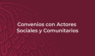 CONVENIOS CON ACTORES SOCIALES Y COMUNITARIOS