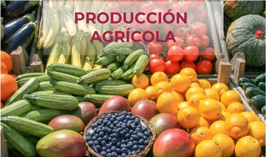 Producción Agrícola 