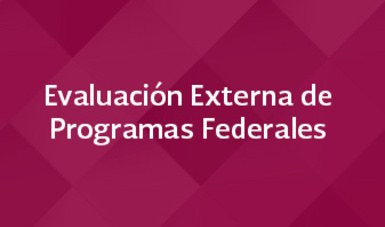 Evaluación Externa de Programas Federales