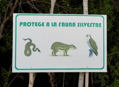 Protección a la Fauna Silvestre