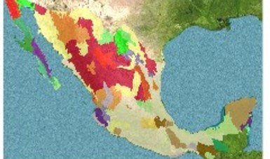 mapa de México