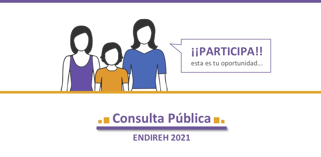 Participa en Consulta Pública de la Encuesta Nacional sobre la Dinámica de las Relaciones en los Hogares (ENDIREH)