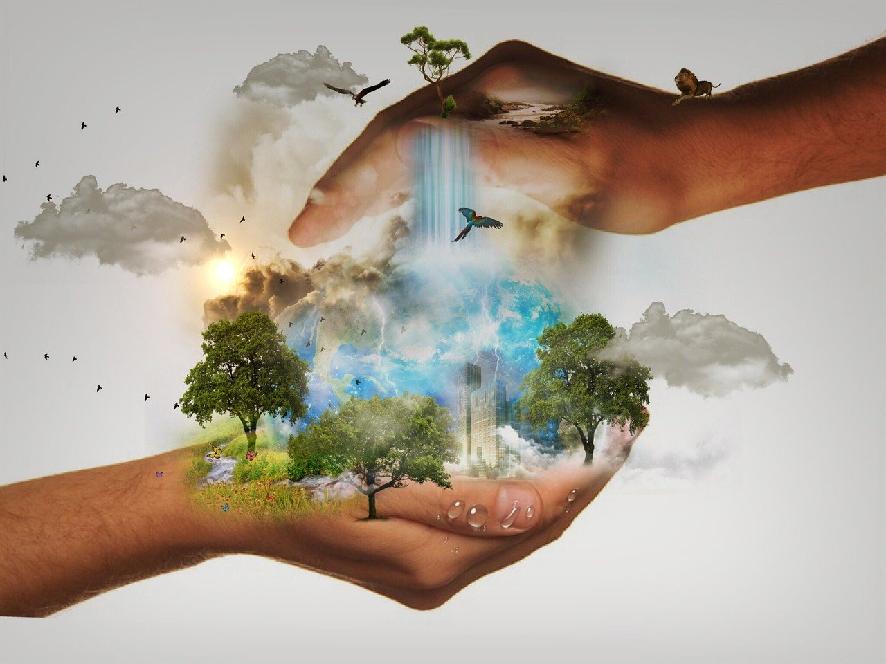 Día de la Conciencia Ambiental | Secretaría de Medio Ambiente y Recursos Naturales | Gobierno | gob.mx