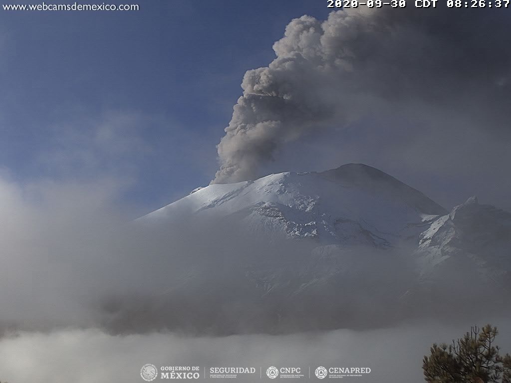 En las últimas 24 horas, mediante el sistema de monitoreo del volcán Popocatépetl se identificaron 90 exhalaciones acompañadas de gases volcánicos y en ocasiones de ligeras cantidades de ceniza. Adicionalmente se registraron 448 minutos de tremor. 