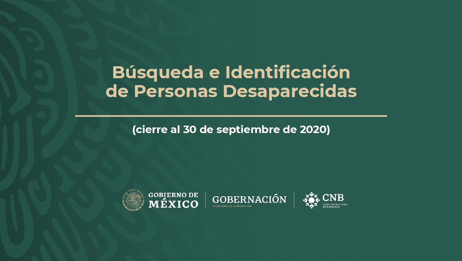 Informe sobre búsqueda e identificación de personas desaparecidas en el país, octubre 2020.